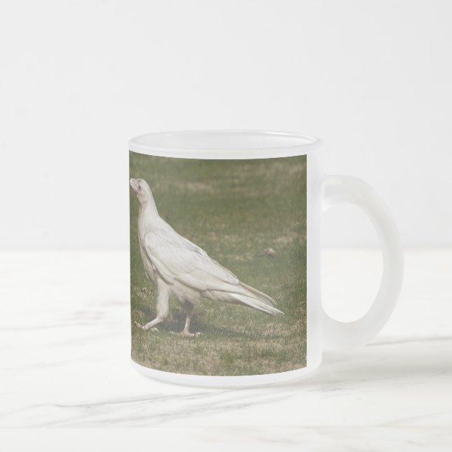 Caneca De Café Vidro Jateado Fotografia Rare White Raven Wildlife (Direita)