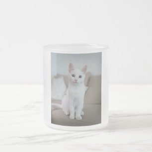 Caneca De Café Vidro Jateado Gato branco   Zazzle_Growth.