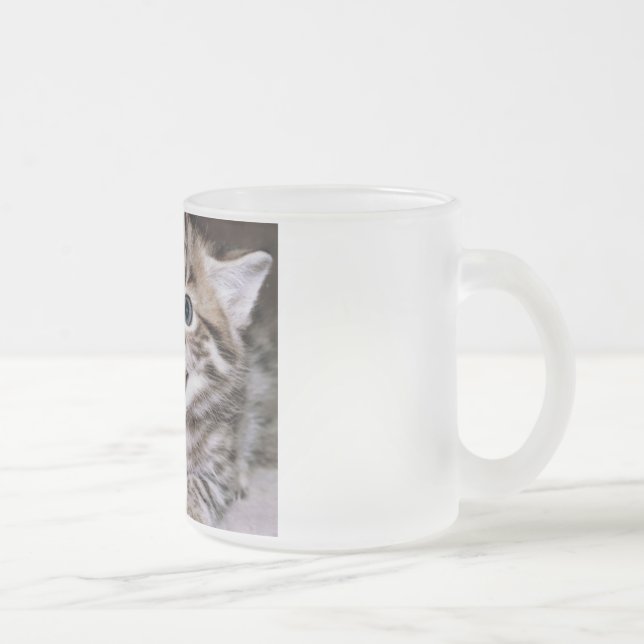 Caneca De Café Vidro Jateado Gatos engraçados (Direita)