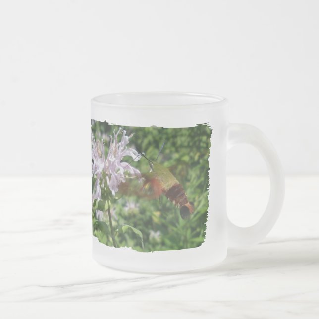 Caneca De Café Vidro Jateado Hummingbird Clear Wing Moth em Monarda (Direita)