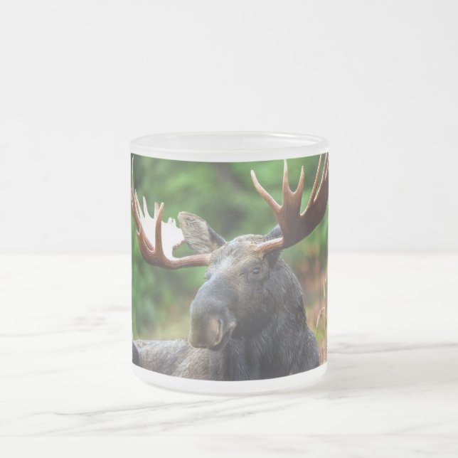 Caneca De Café Vidro Jateado Moose (Centro)