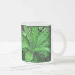 Caneca De Café Vidro Jateado Nest Fern de Bird