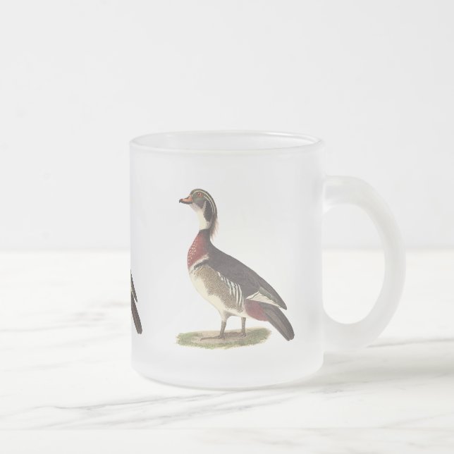 Caneca De Café Vidro Jateado O Pato de Madeira (Anas esponsa) (Direita)