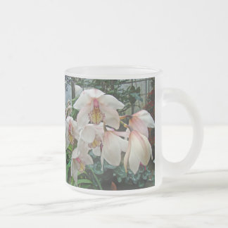 Caneca De Café Vidro Jateado Orquídeas-Creme e Rosa