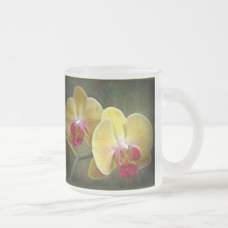 Caneca De Café Vidro Jateado Orquídeas-Mama amarelas - Phalaenopse