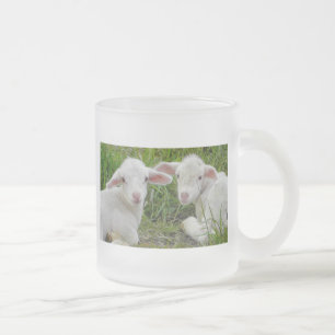 Caneca De Café Vidro Jateado Pensamento animal do bebê gêmeo do cordeiro de