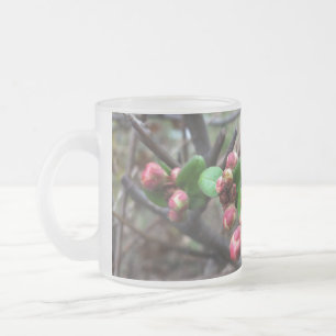 Caneca De Café Vidro Jateado Primeiros botões cor-de-rosa
