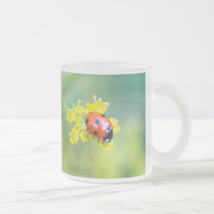 Caneca De Café Vidro Jateado senhora por cima