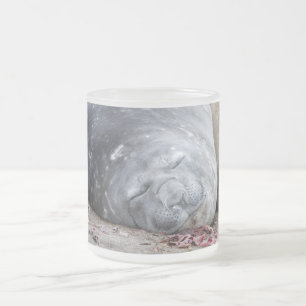Caneca De Café Vidro Jateado Sleeping elephant seal
