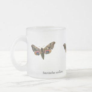 Caneca De Café Vidro Jateado Smerinthus ocellata - Olhos Hawk-Moth - Imagem a c