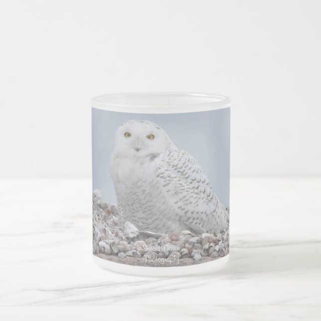 Caneca De Café Vidro Jateado Snowy Owl nas    conchas (Centro)