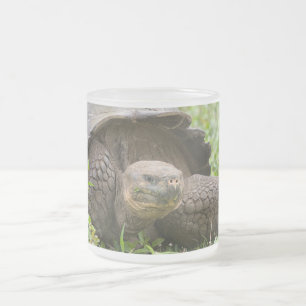Caneca De Café Vidro Jateado Tartaruga gigante