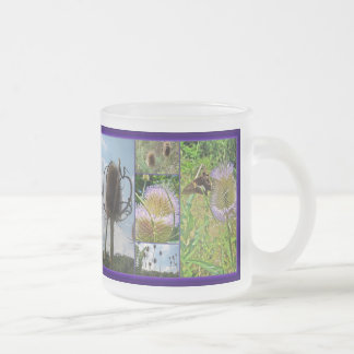 Caneca De Café Vidro Jateado Teasel Thistle - Dipsacus fullonum