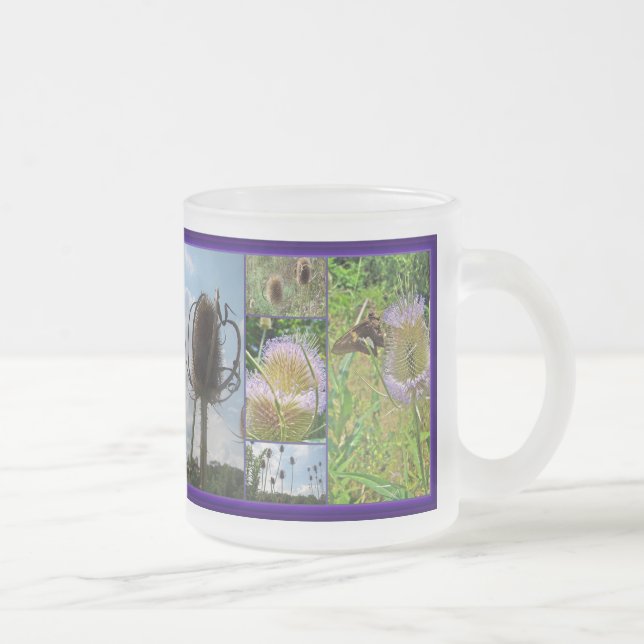 Caneca De Café Vidro Jateado Teasel Thistle - Dipsacus fullonum (Direita)