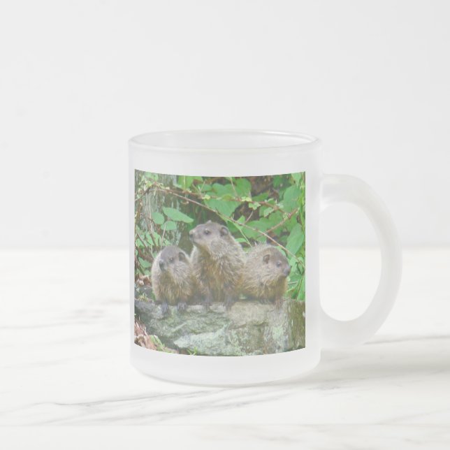 Caneca De Café Vidro Jateado Três Bebês Groundhogs (Direita)