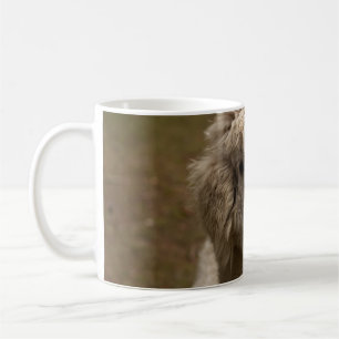 CANECA DE CAFÉ VIENNA WIEN ÖSTERREICH ÁUSTRIA ALPAKA LAMA ANIMA