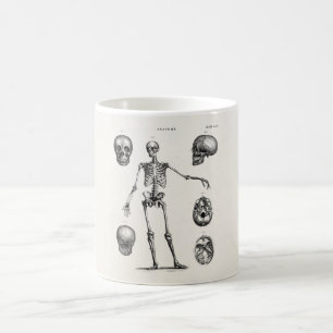 Caneca De Café Vintage 1800s Skeleton Antique Anatomy Skeletons