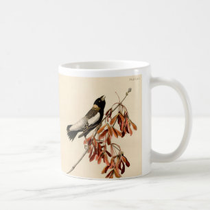 Caneca De Café Vintage Audubon Bobolink Pintura Com Presente Coff