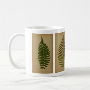 Caneca De Café Vintage Ferns