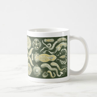 Caneca De Café Vintage Haeckel