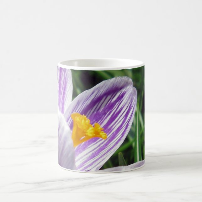 Caneca De Café Violet Primavera Crocus (Centro)