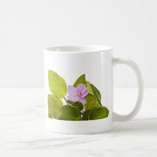 Caneca De Café violeta africana - ionantha do saintpaulia