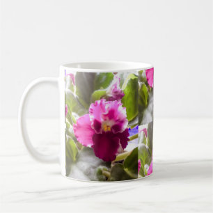 Caneca De Café Violeta africana roxa