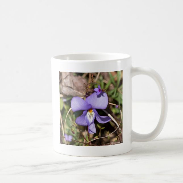 Caneca De Café Violeta de Pássaros com Bluets (Direita)