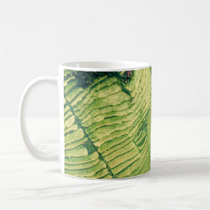 Caneca De Café Vista aérea do campo verde