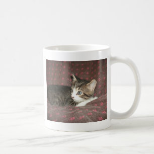 Caneca De Café Vista ao redor