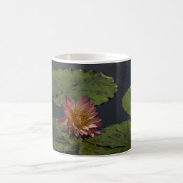 Caneca De Café Waterlily Rosa