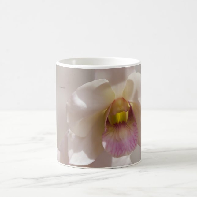 Caneca De Café White and pink orchid flower on blurred background (Centro)