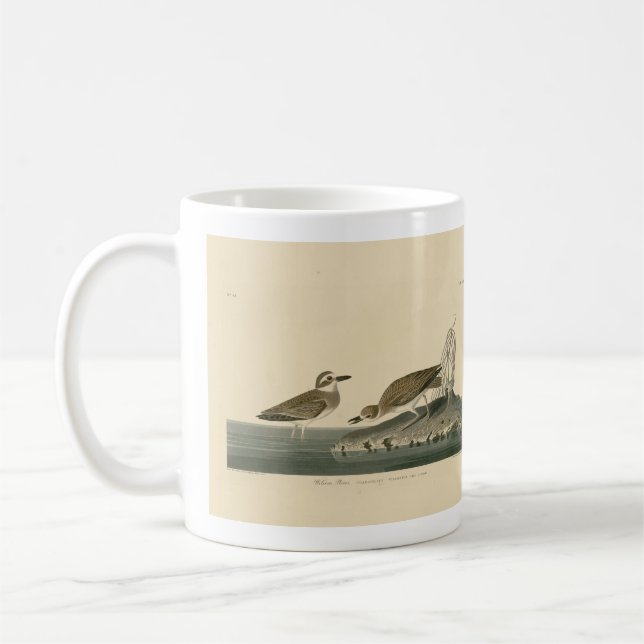 Caneca De Café Wilson's Plover from Audubon's Birds of America (Esquerda)