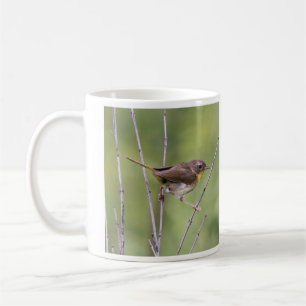 Caneca De Café Yellowthroat comum