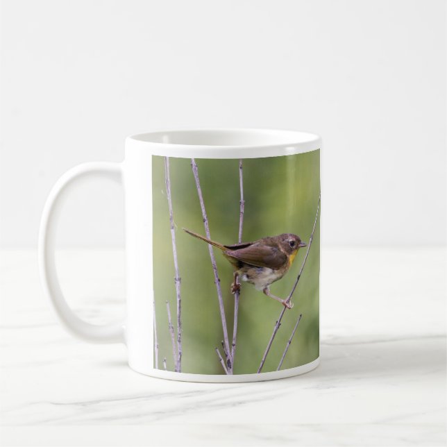 Caneca De Café Yellowthroat comum (Esquerda)
