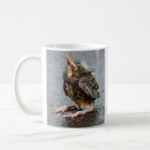 Caneca De Café Young Robin Olhando Para O Mug