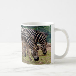 Caneca De Café zebras em um zoológico de animais selvagens
