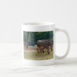 Caneca De Café zebras em um zoológico de animais selvagens