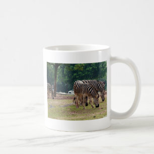 Caneca De Café zebras num zoológico selvagem