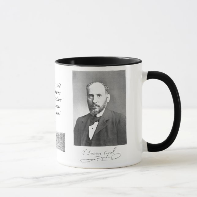 Caneca de Cajal com pilha de Purkinje (Direita)