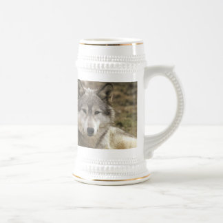 Caneca de cerveja de Wolfen