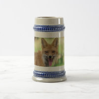 Mama Fox no Vale do Hudson