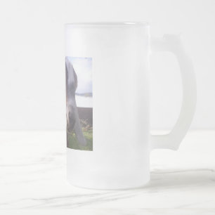 Caneca De Cerveja Vidro Jateado ASAPFarm Joey