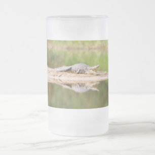 Caneca De Cerveja Vidro Jateado Crocodilo