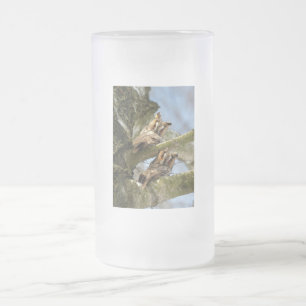 Caneca De Cerveja Vidro Jateado Duas corujas nos bosques, aves, vida selvagem Vidr