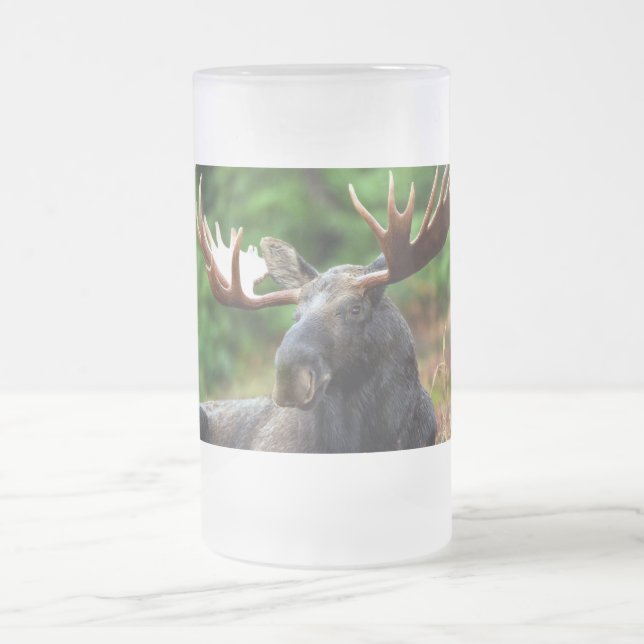 Caneca De Cerveja Vidro Jateado Moose (Centro)