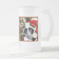 Natal Boston terrier