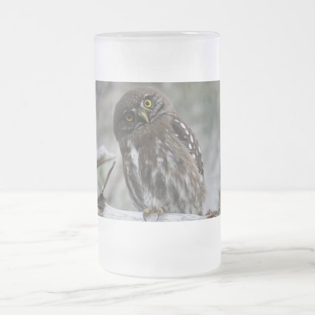 Caneca De Cerveja Vidro Jateado Norte Pygmy Owl (Centro)