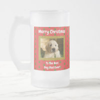 O melhor Pai de cachorro de Natal já fotografou Pe