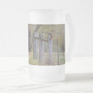 Caneca De Cerveja Vidro Jateado Pose de Fosco de vedação de esquilo